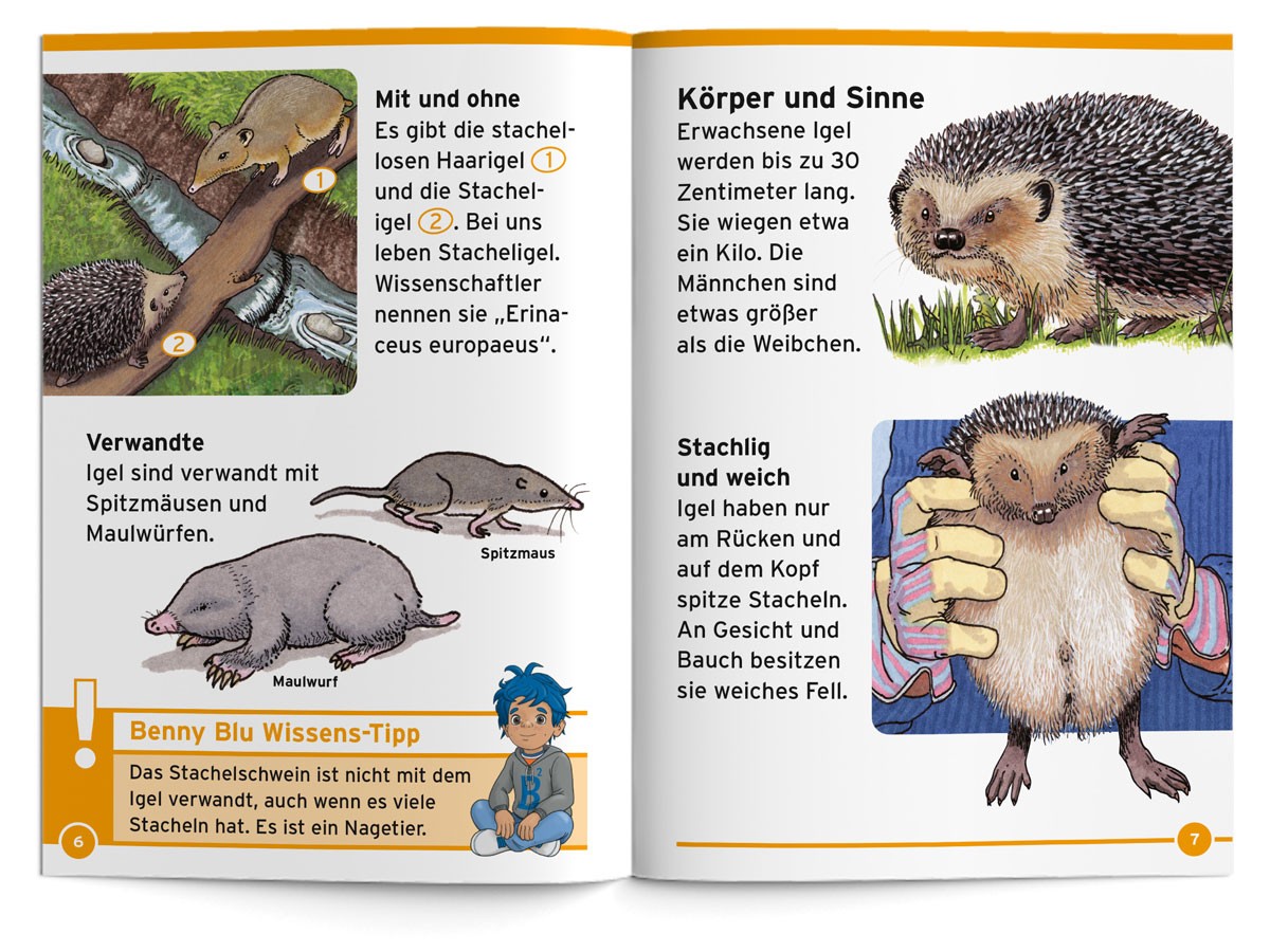 BennyBlu | Igel