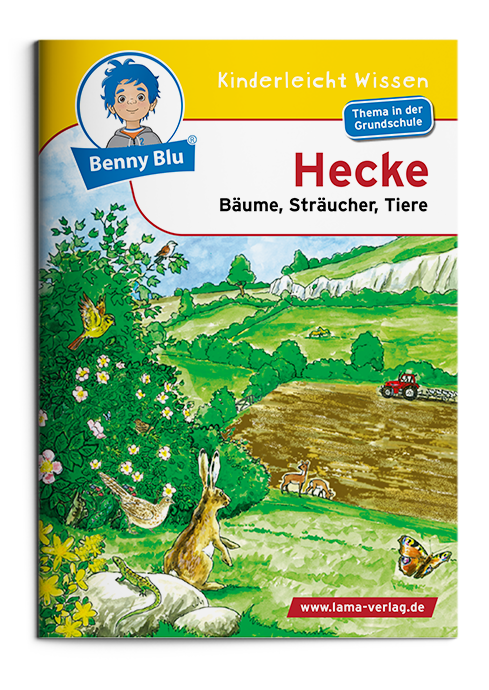 BennyBlu | Hecke