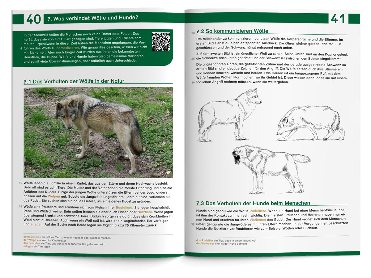 Lebensraum Wald – Lesearbeitsheft LS 3