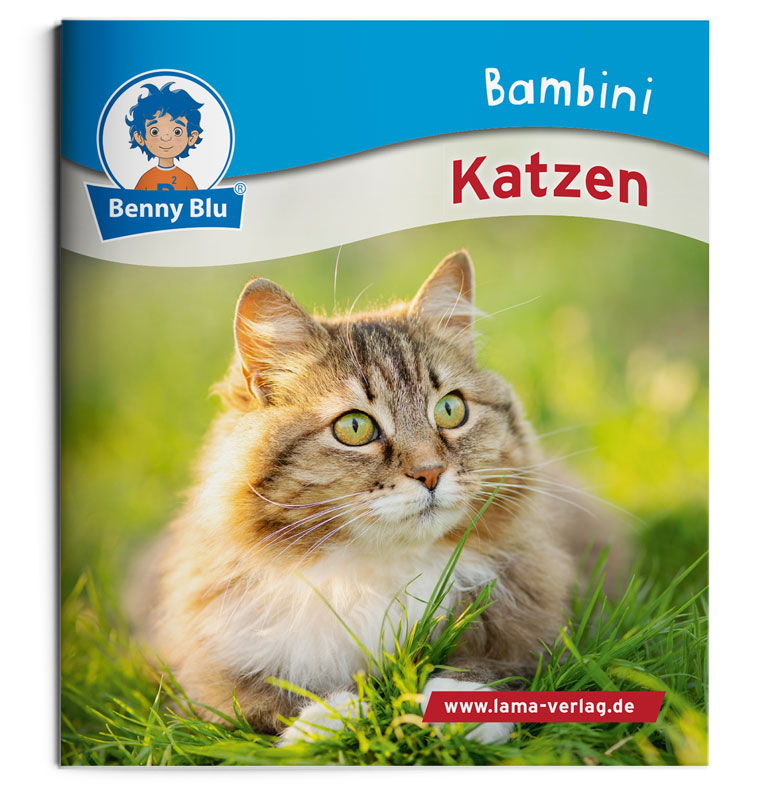 Bambini | Katzen