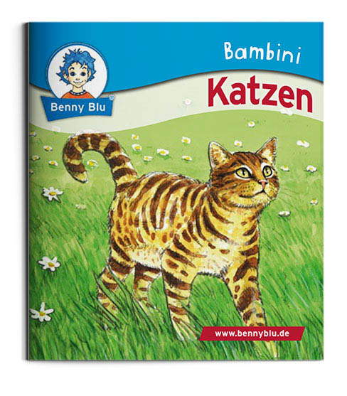 Bambini | Katzen