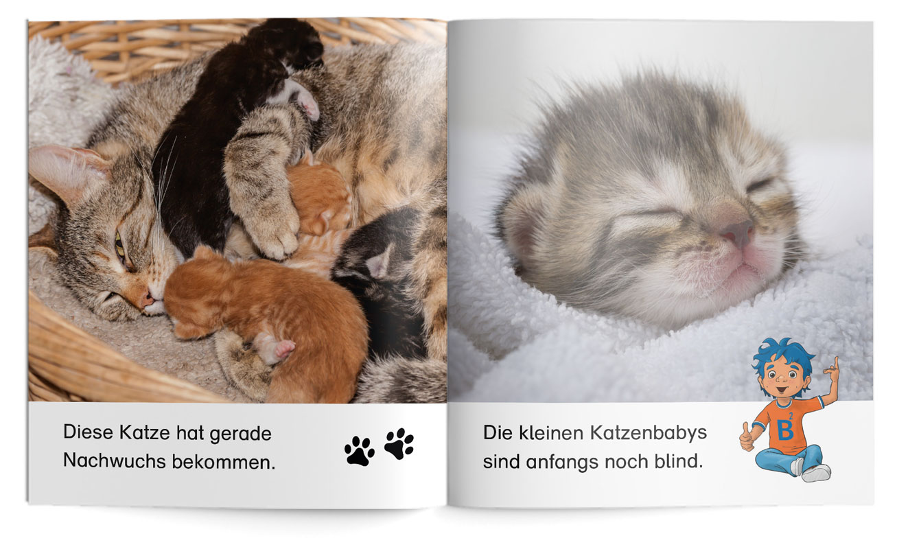 Bambini | Katzen