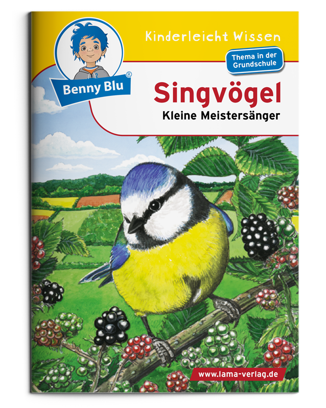 BennyBlu | Singvögel