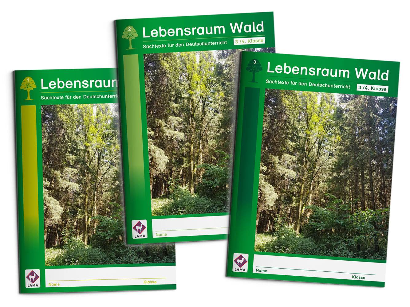 Lebensraum Wald – Prüfpaket 1