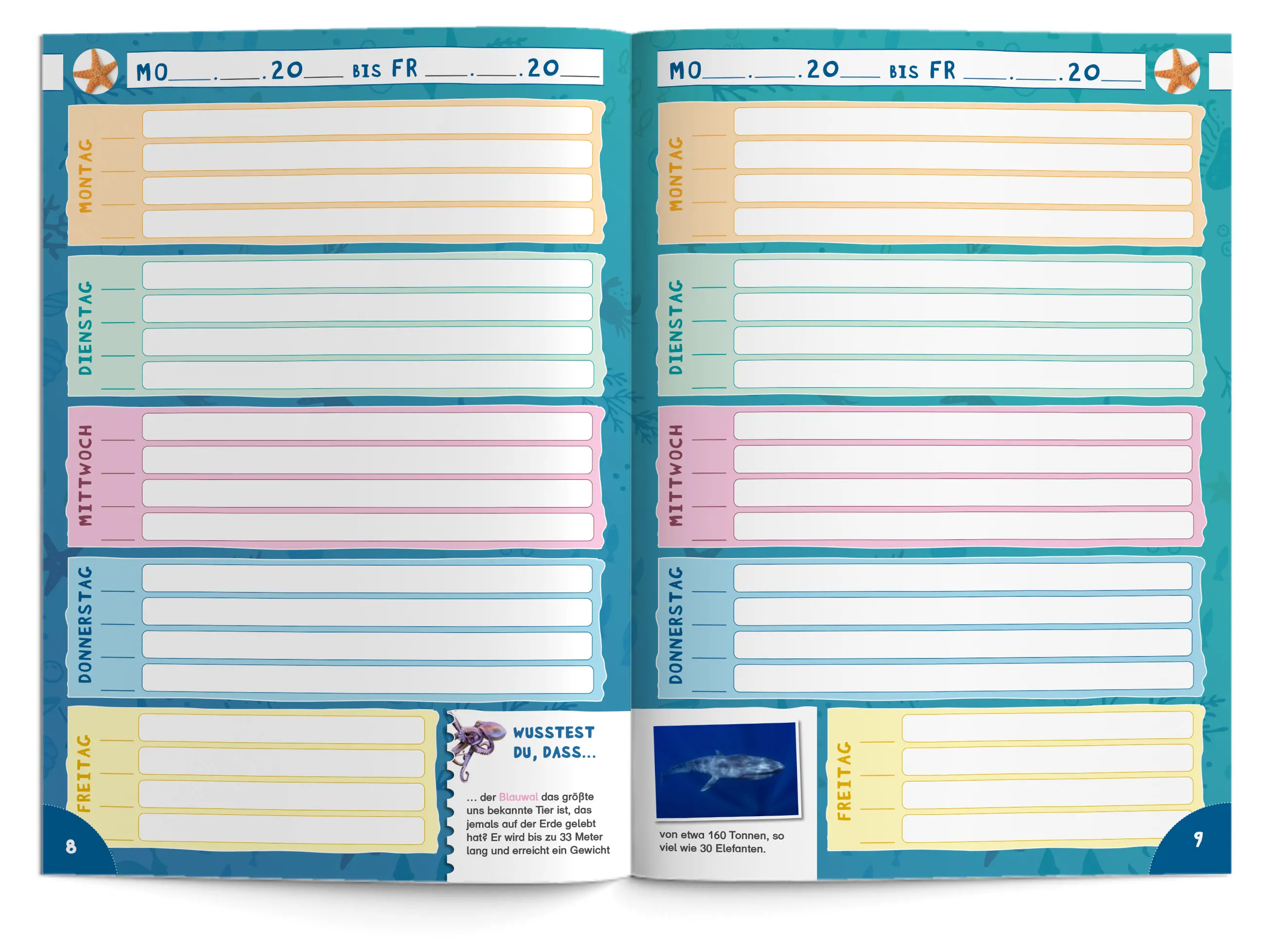 Hausaufgabenheft Grundschule