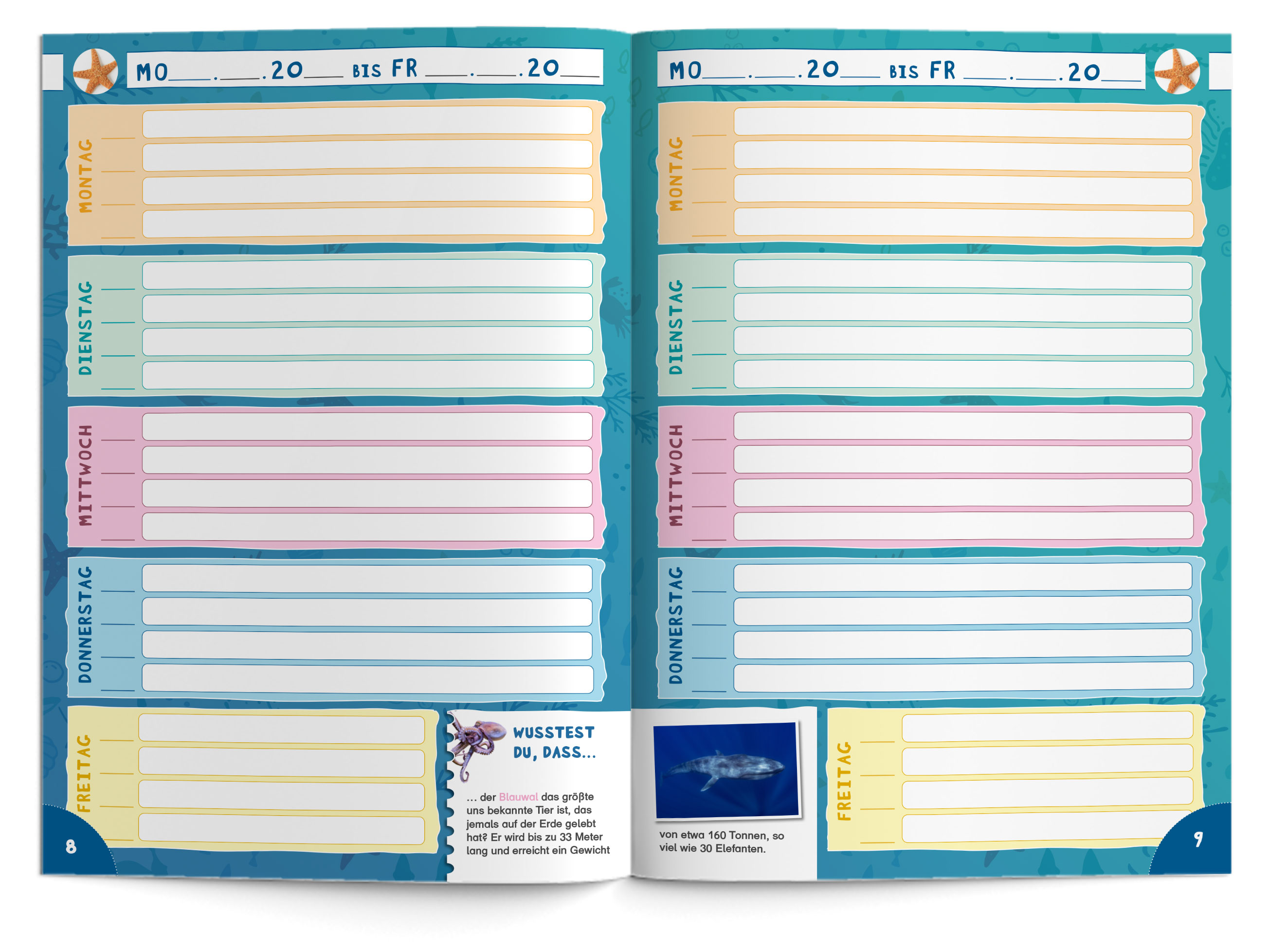 Hausaufgabenheft Grundschule