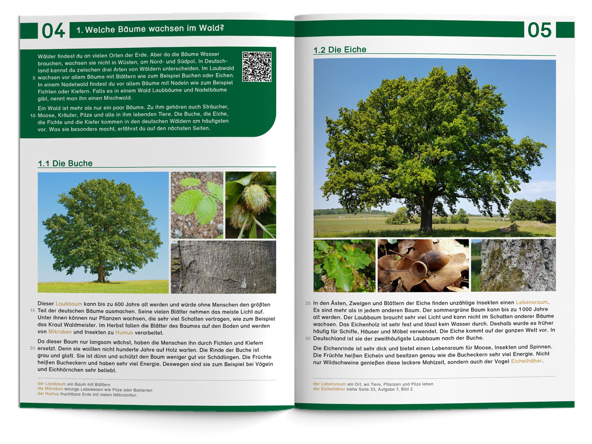 Lebensraum Wald – Lesearbeitsheft LS 3