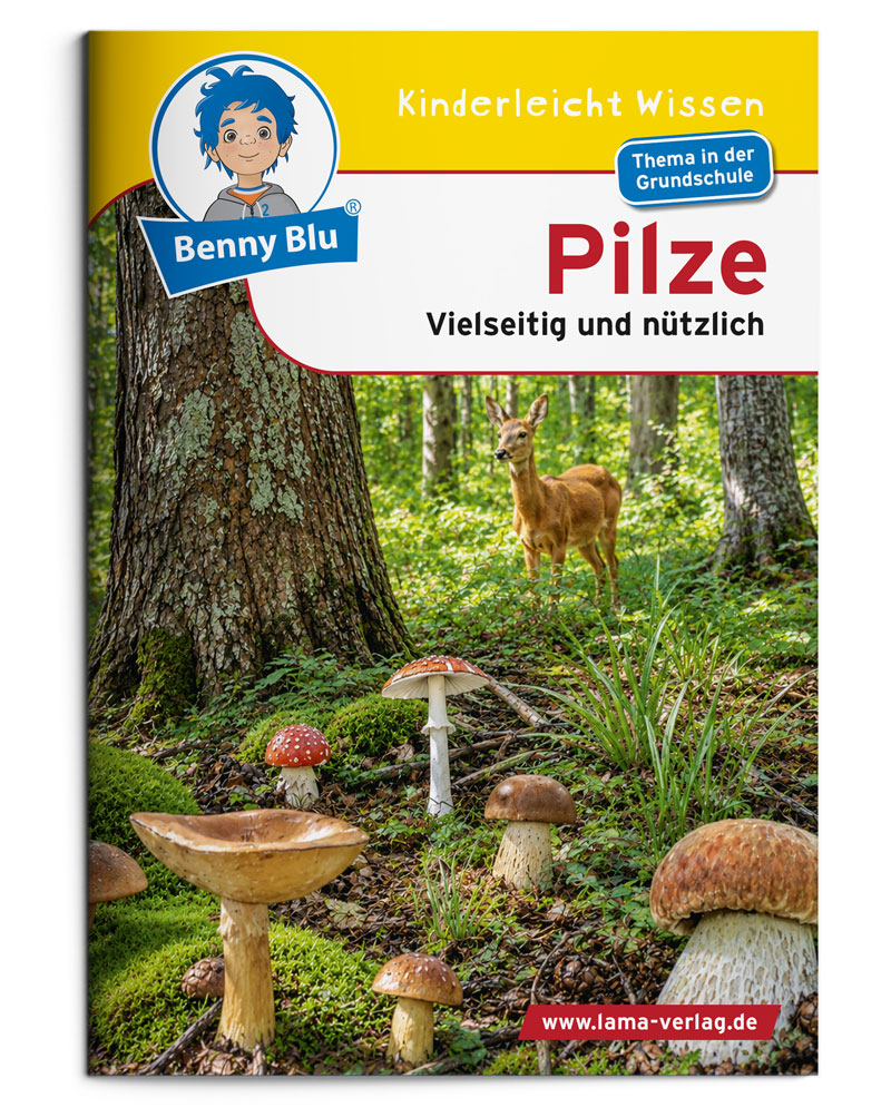 BennyBlu | Pilze