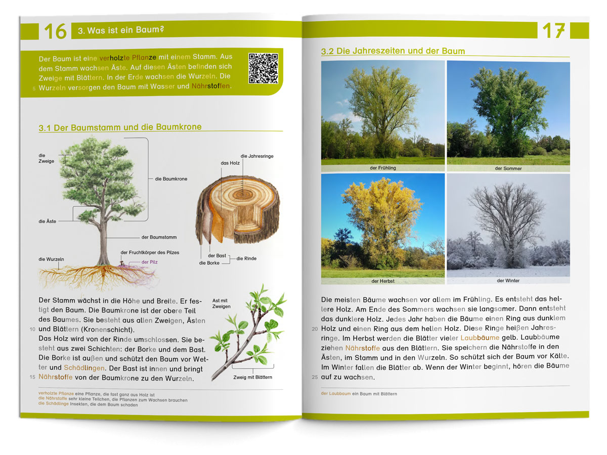 Lebensraum Wald – Lesearbeitsheft LS 1