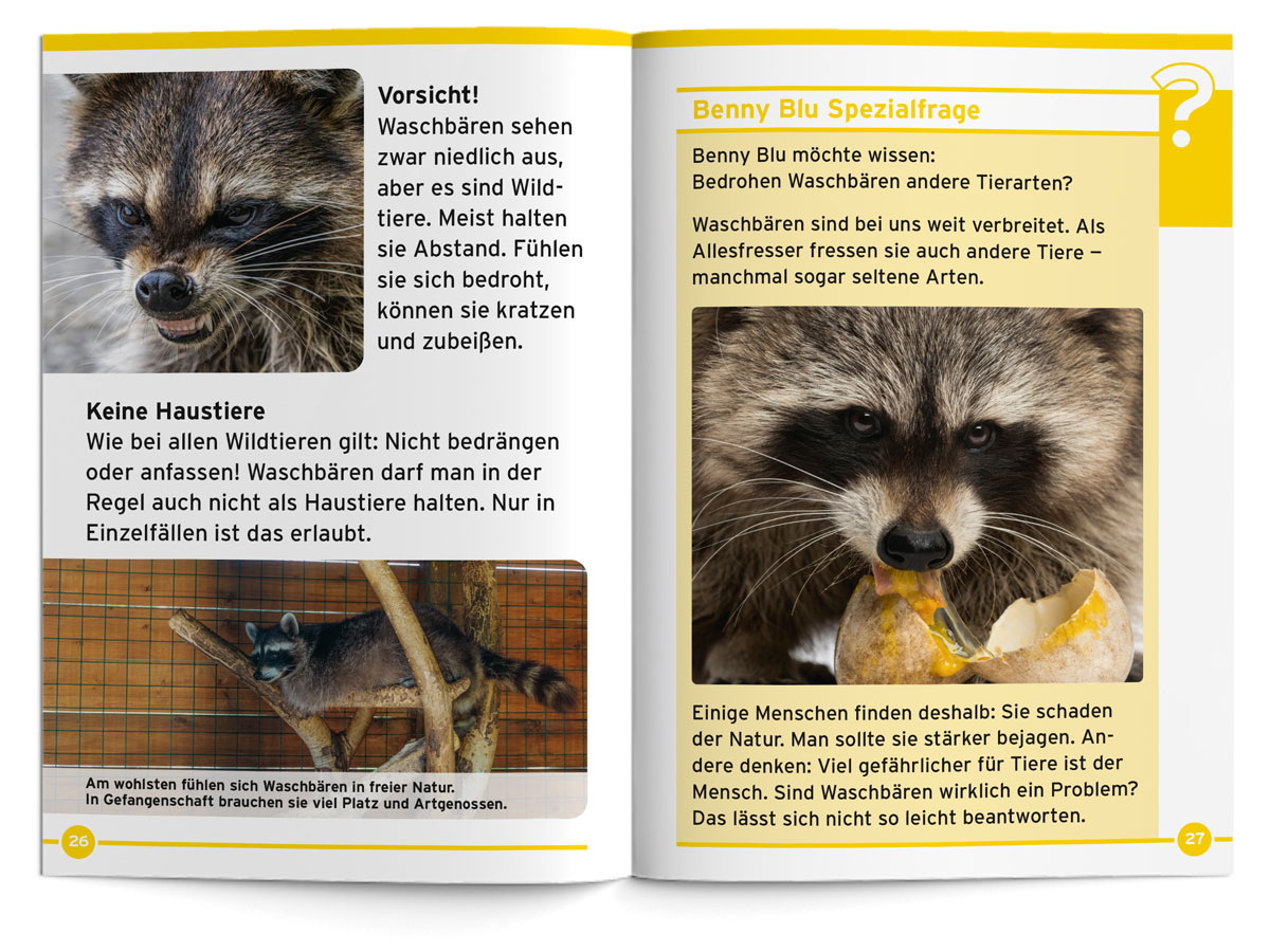 BennyBlu | Waschbären