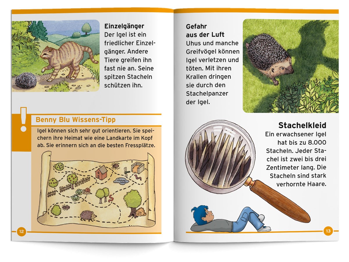 BennyBlu | Igel