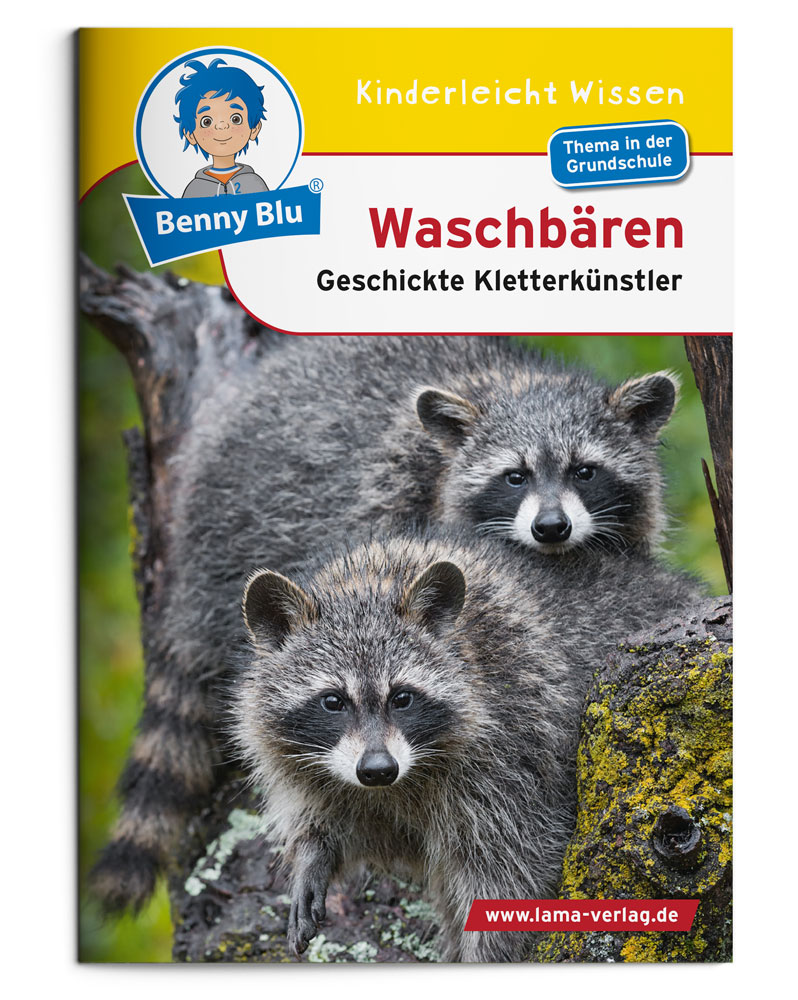 BennyBlu | Waschbären