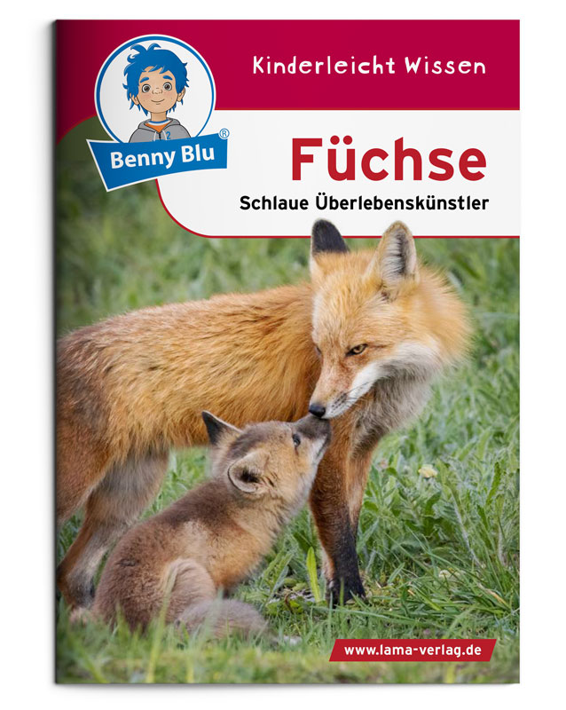 BennyBlu | Füchse