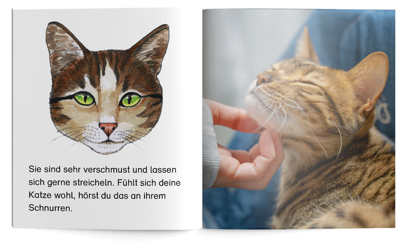 Bambini | Katzen