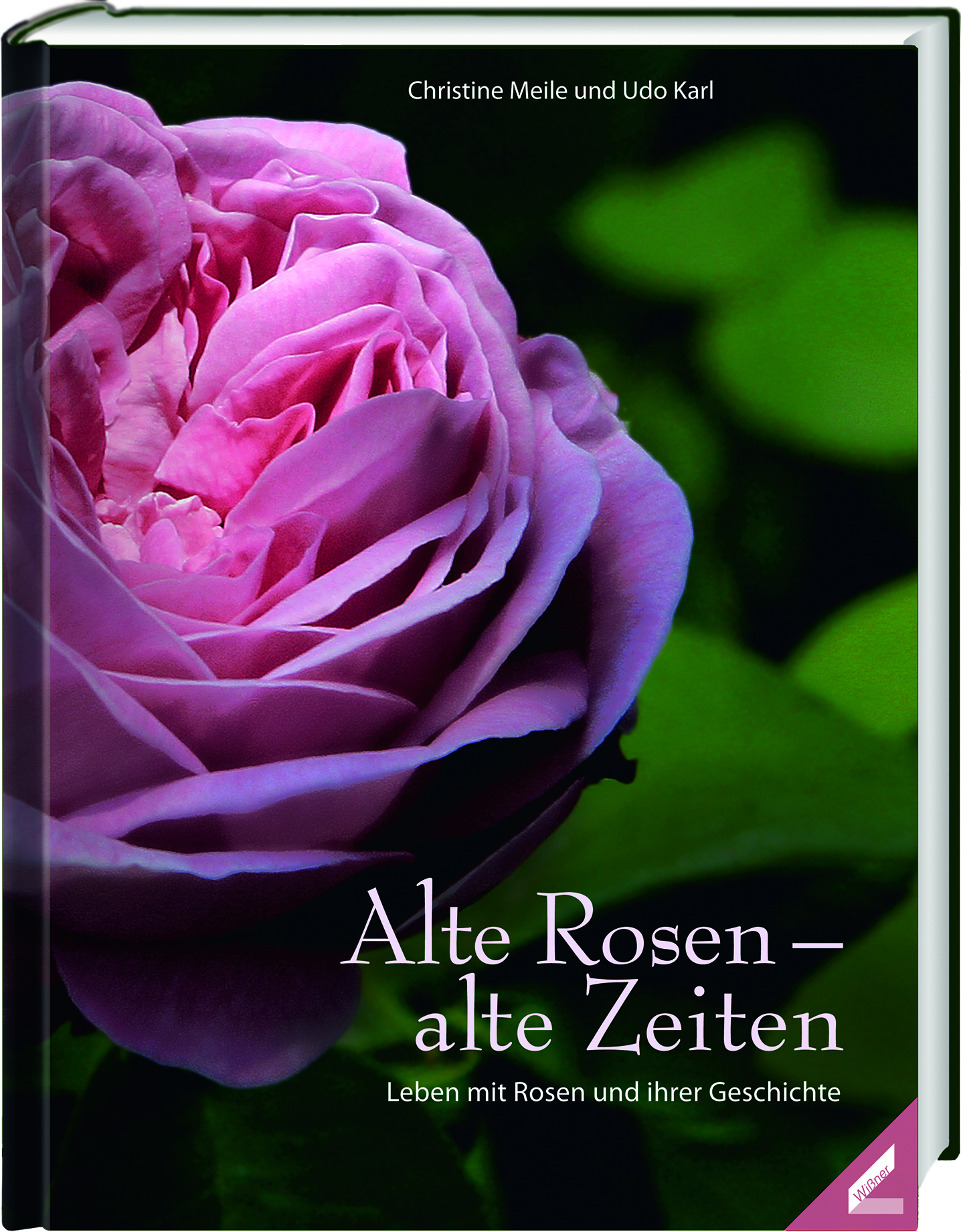 Alte Rosen – alte Zeiten