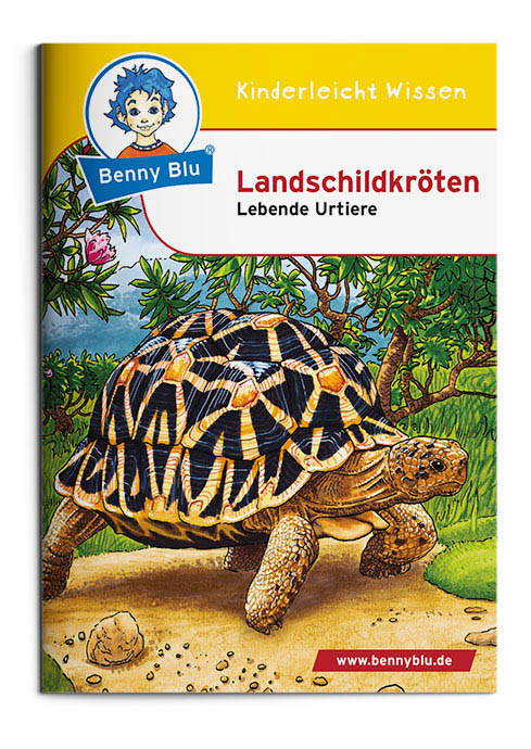 BennyBlu | Landschildkröten