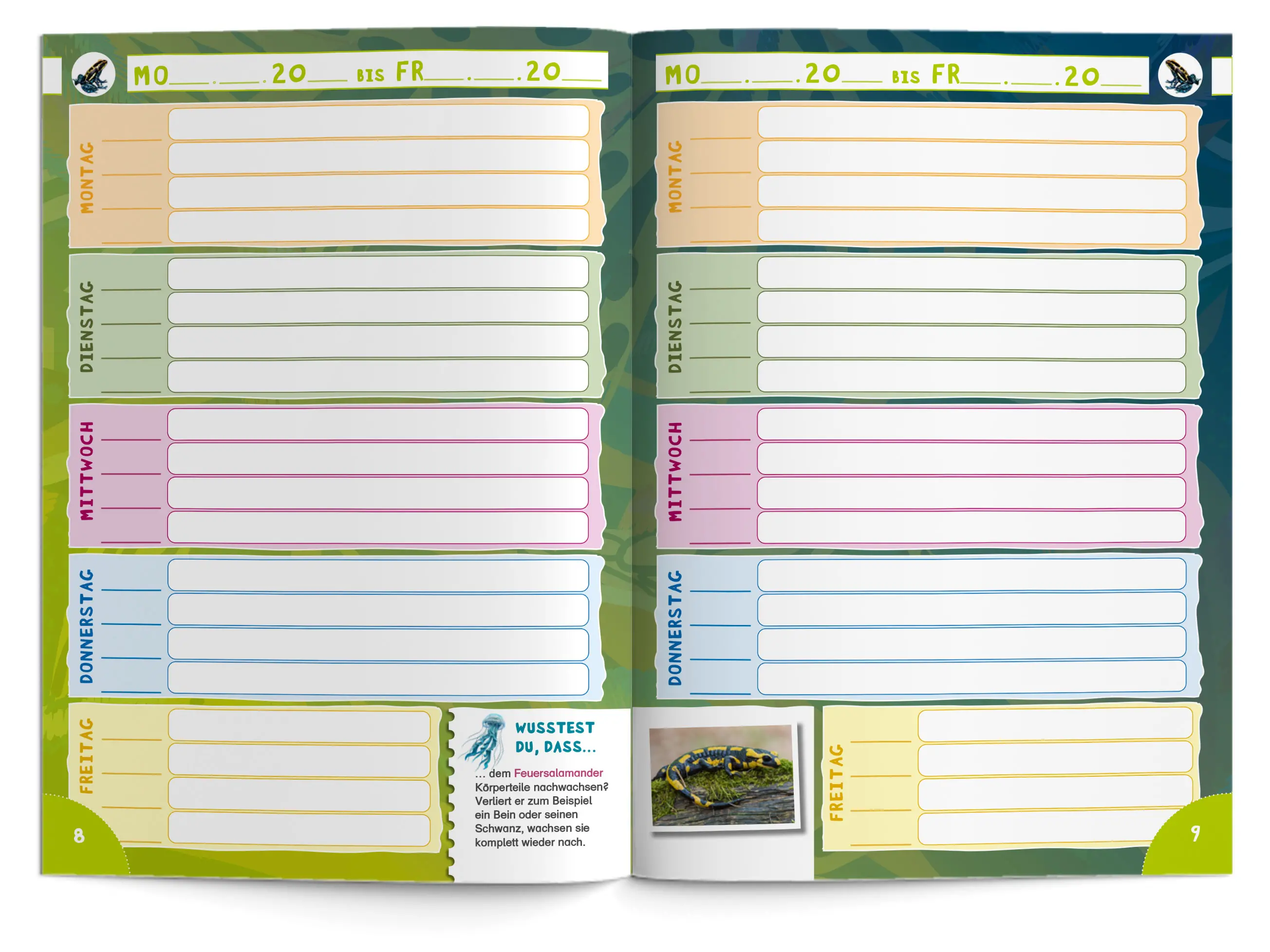 Hausaufgabenheft Grundschule