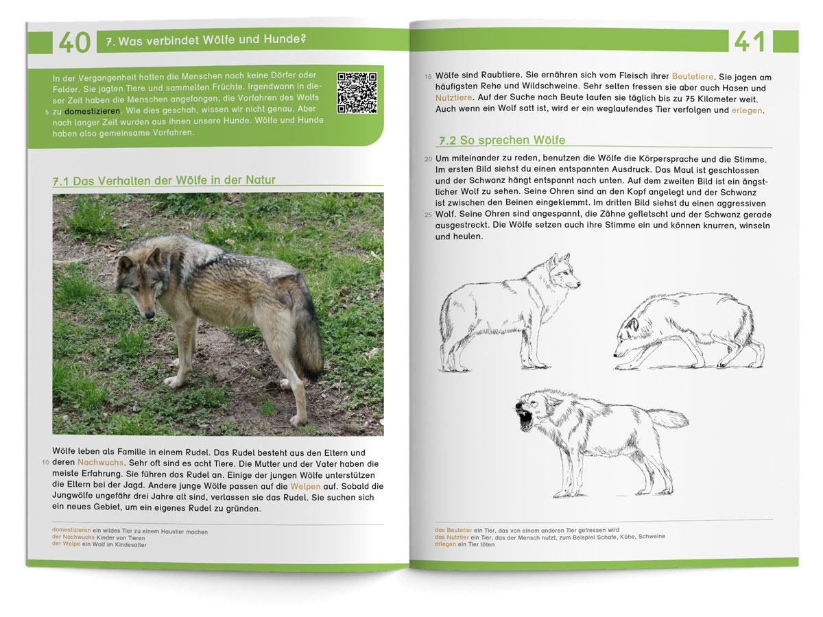Lebensraum Wald – Lesearbeitsheft LS 2