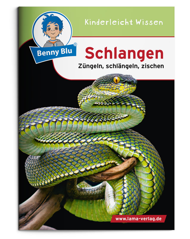 BennyBlu | Schlangen