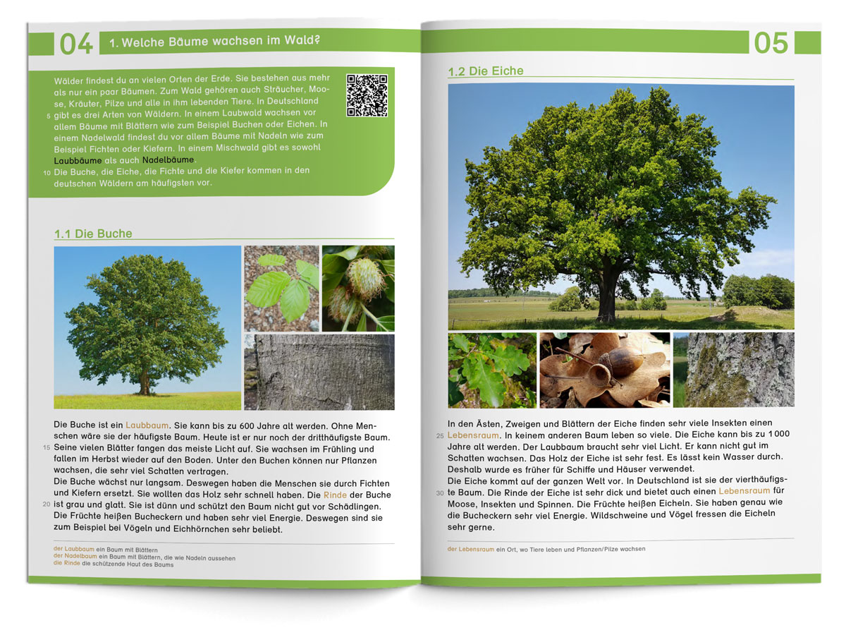 Lebensraum Wald – Lesearbeitsheft LS 2