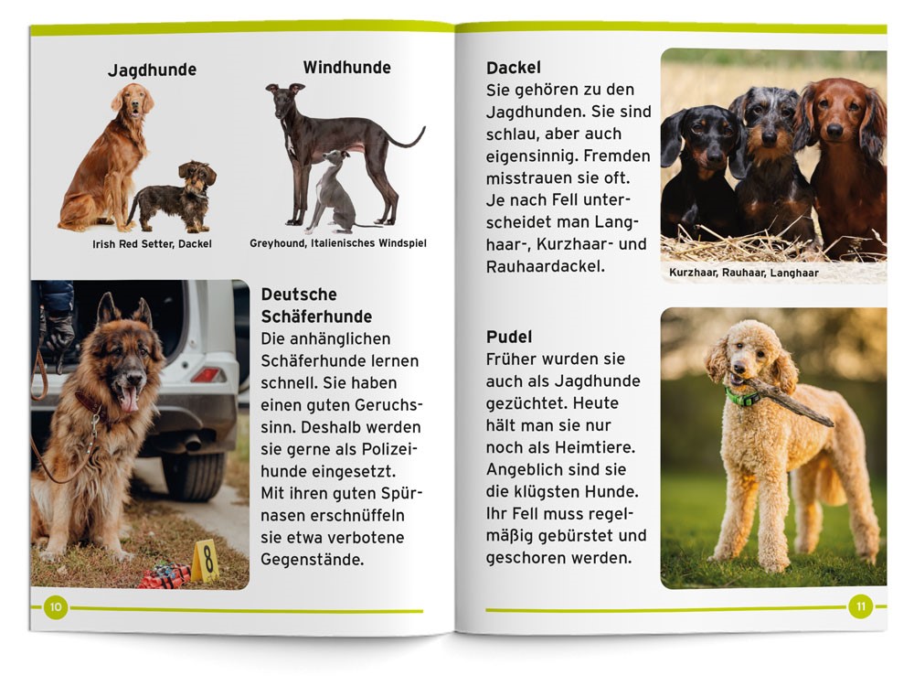 BennyBlu | Hunde