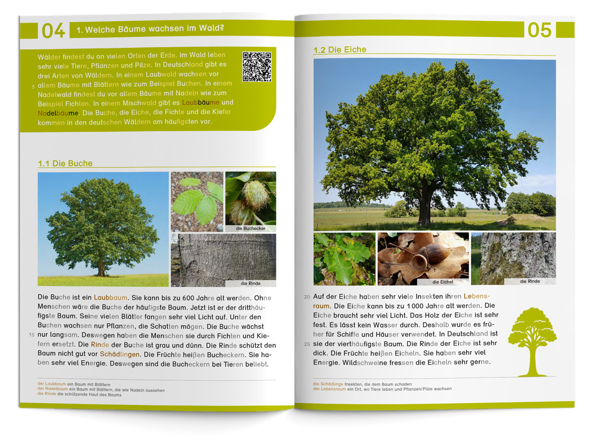 Lebensraum Wald – Lesearbeitsheft LS 1