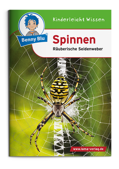 BennyBlu | Spinnen