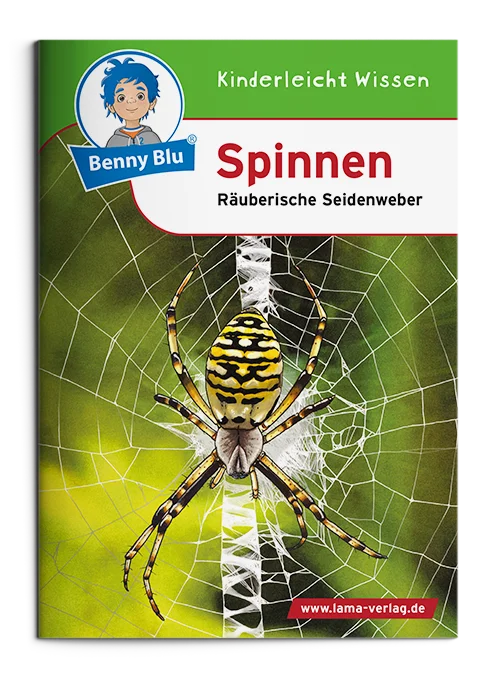 BennyBlu | Spinnen