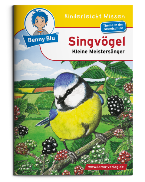 BennyBlu | Singvögel